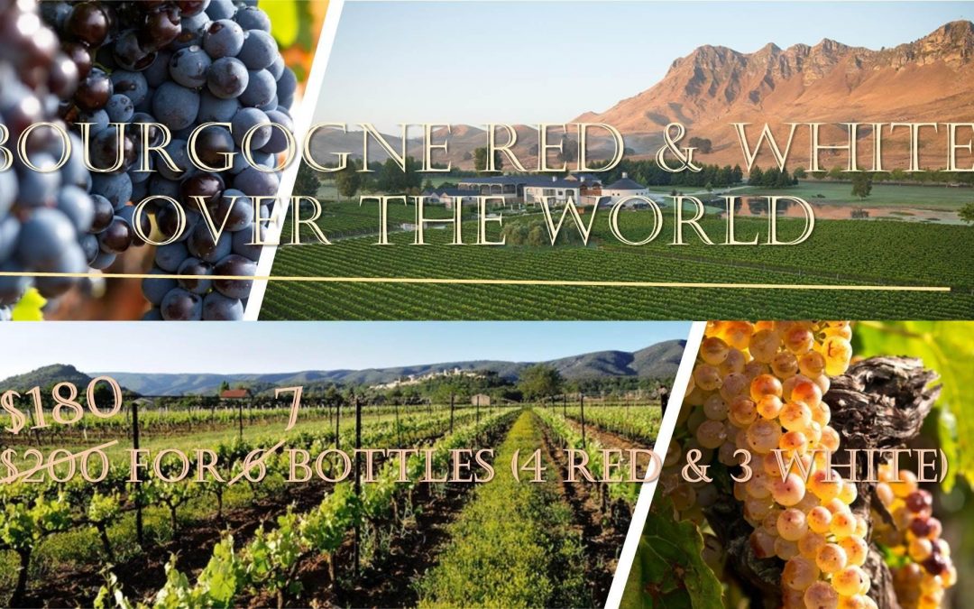 【Wine Tasting – Bourgogne Red & White】$180 (Early bird) for 7 bottles