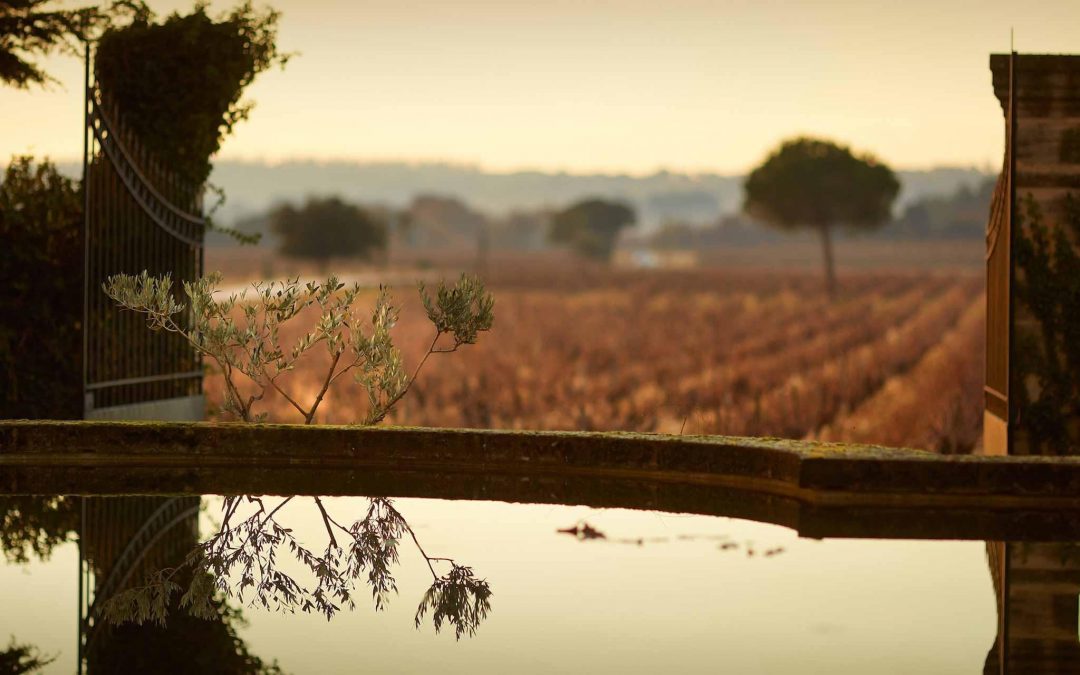 Perrin Vineyards Wine Dinner