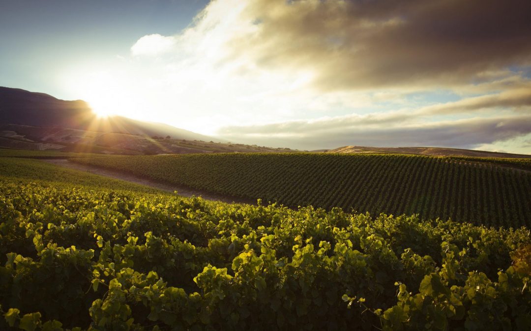 Jackson Family Wines & La Crema Wine Dinnner