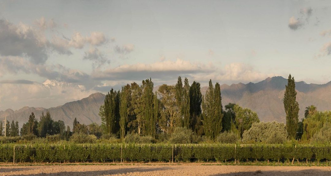 Clos l’Église, POESIA & Ch. Barde-Haut Wine Dinner