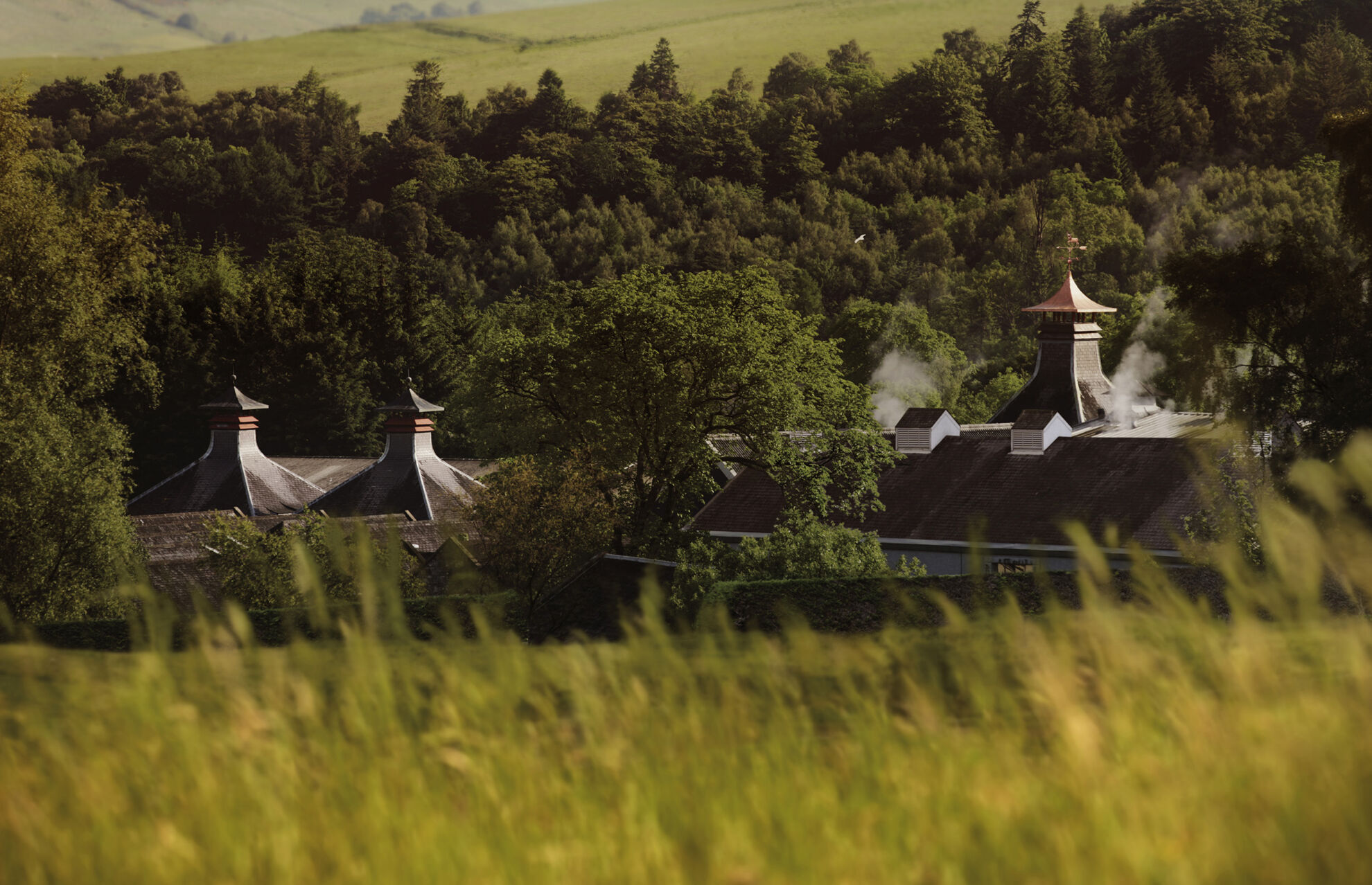 Glenfiddich GF_12_DISTILLERY.jpg
