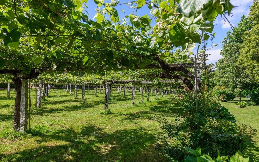 Rías Baixas & Rioja Wine Dinner